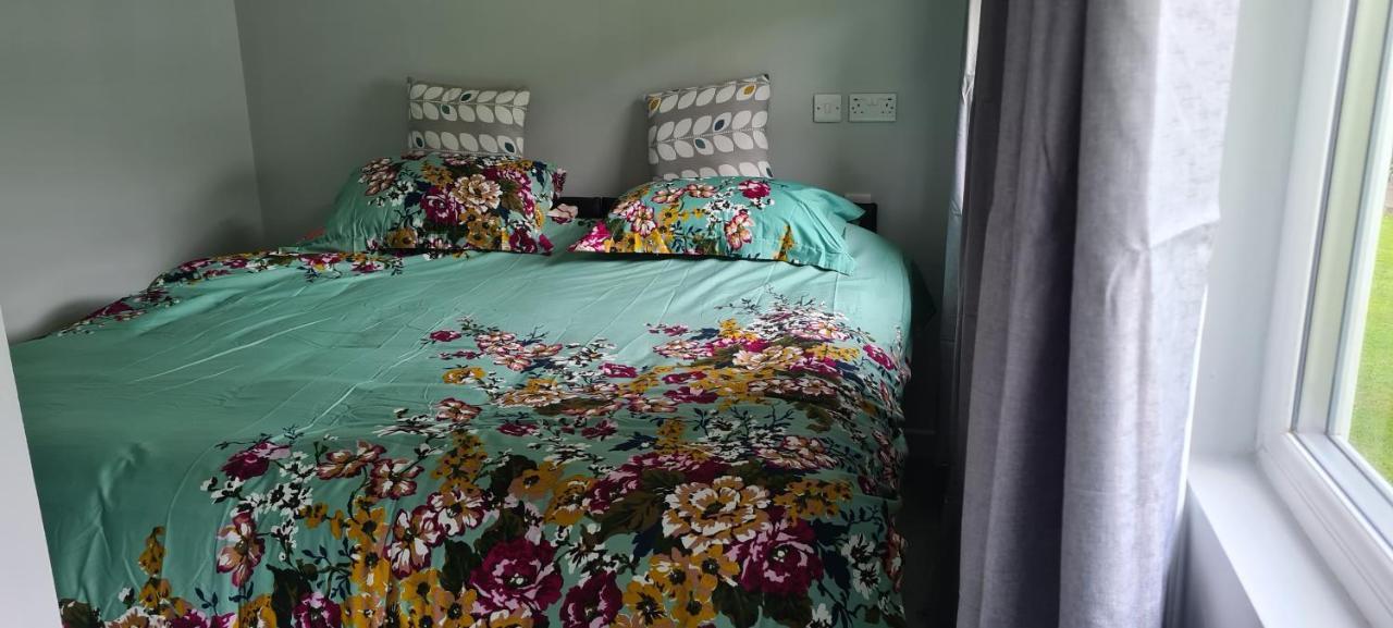 Appartement Forget-Me-Not 114 Woodlands Park New Quay à New Quay  Extérieur photo