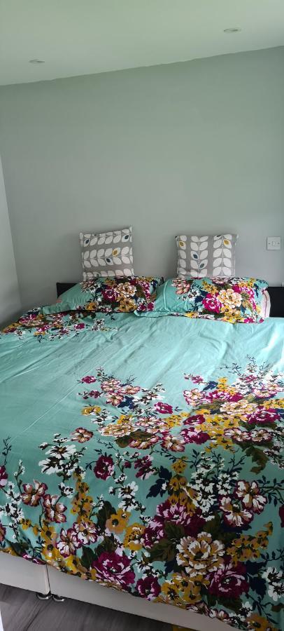 Appartement Forget-Me-Not 114 Woodlands Park New Quay à New Quay  Extérieur photo