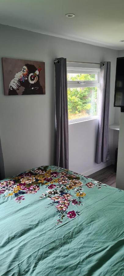 Appartement Forget-Me-Not 114 Woodlands Park New Quay à New Quay  Extérieur photo